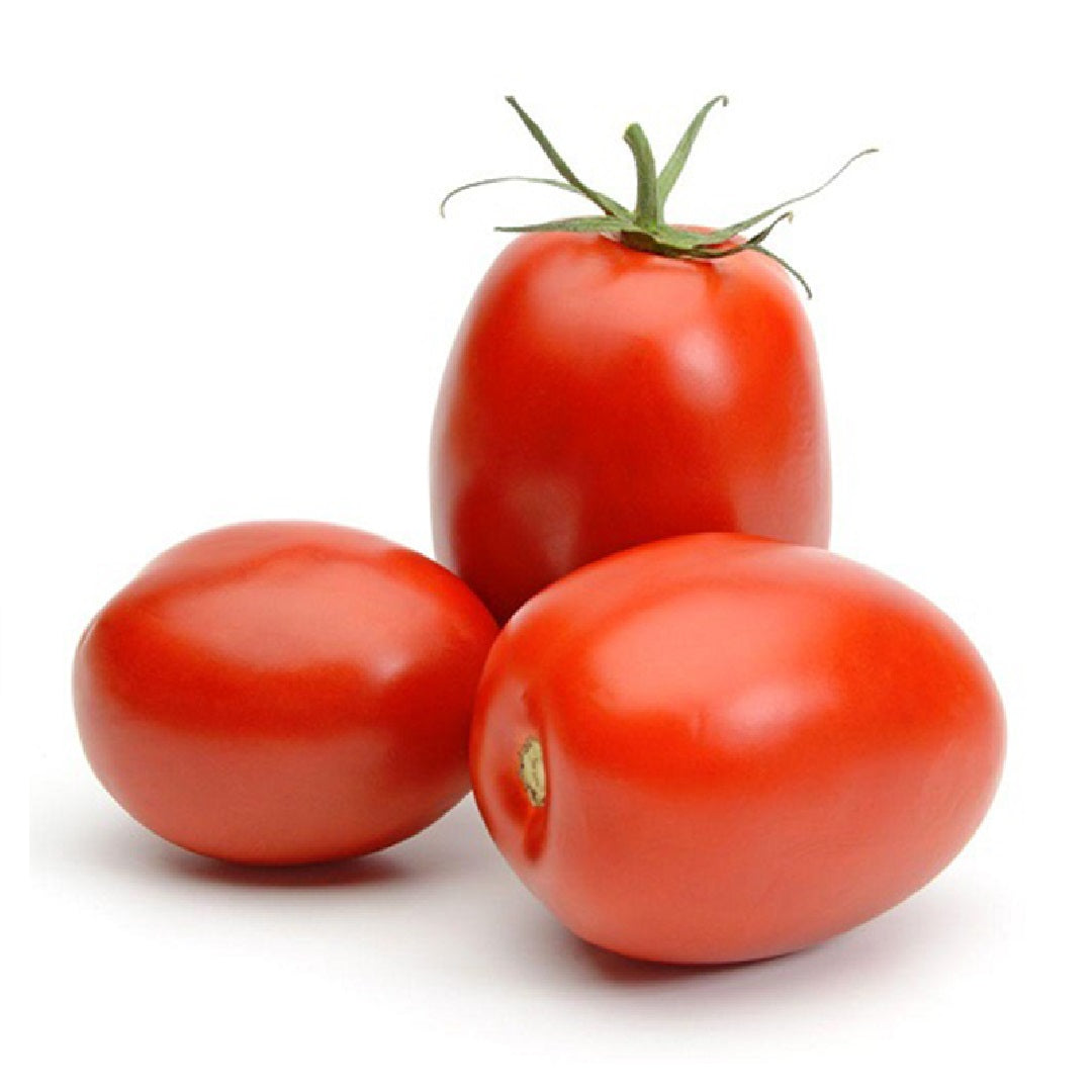 Plum Tomatoes From Netherlands, 1 Kg